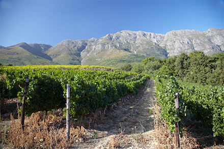 Franschhoek Valley