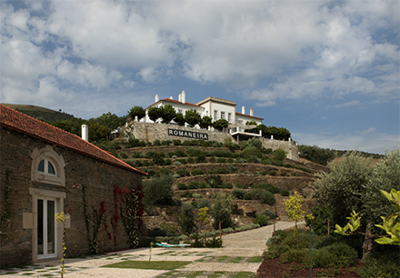 Quinta da Romaneira