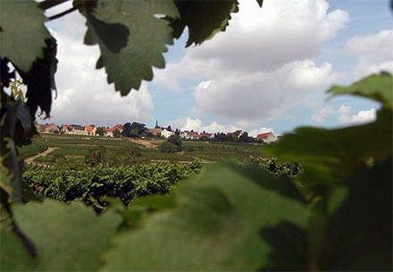 Weingut Rebenhof