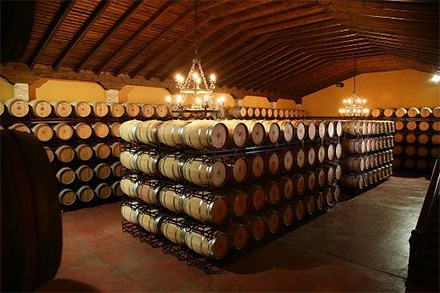 Bodegas Christo de la Vega