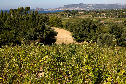 Domaine de la Garenne