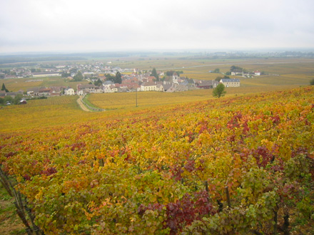 Domaine des Monts Luisants