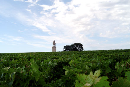 Bégédans vinmarker i Haut-Medoc i Bordeaux.
