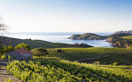Diverse producenter - Languedoc-Roussillon